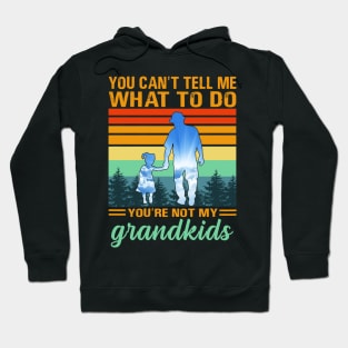 you can't tell me what to do you're not my grandkids Hoodie